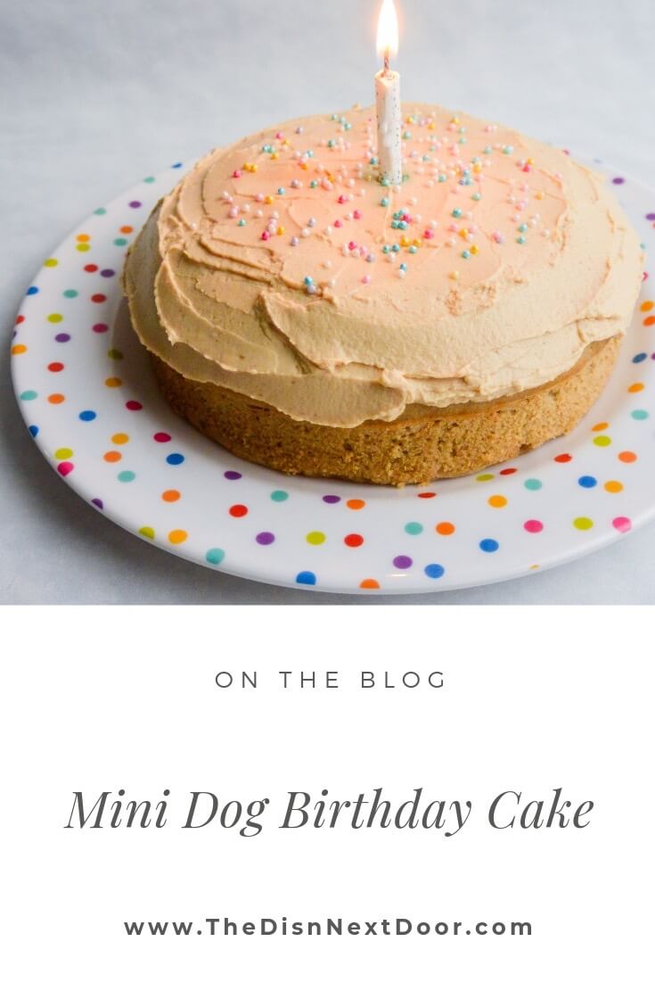 Mini Dog Birthday Cake - The Dish Next Door